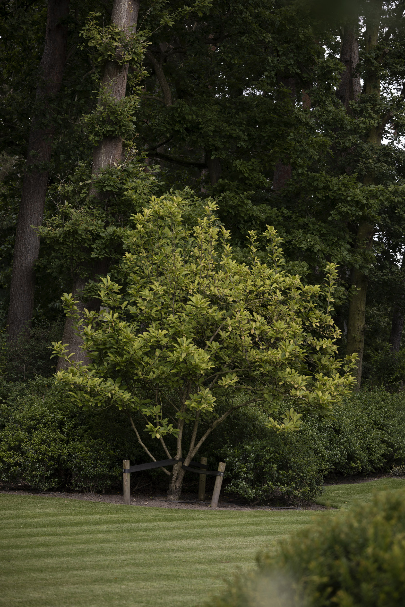 Tuin Keerbergen