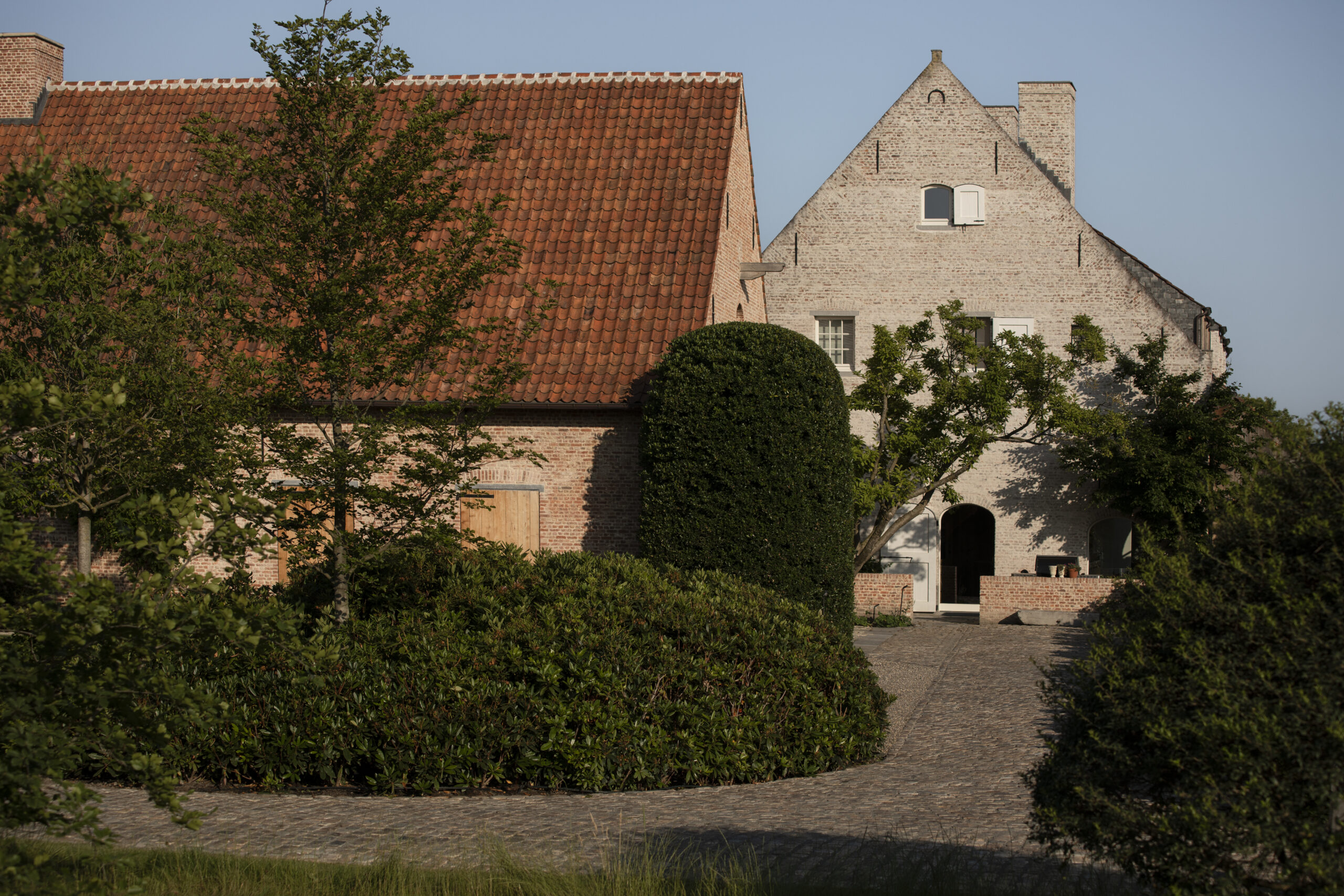 Sfeervolle tuin ochtend