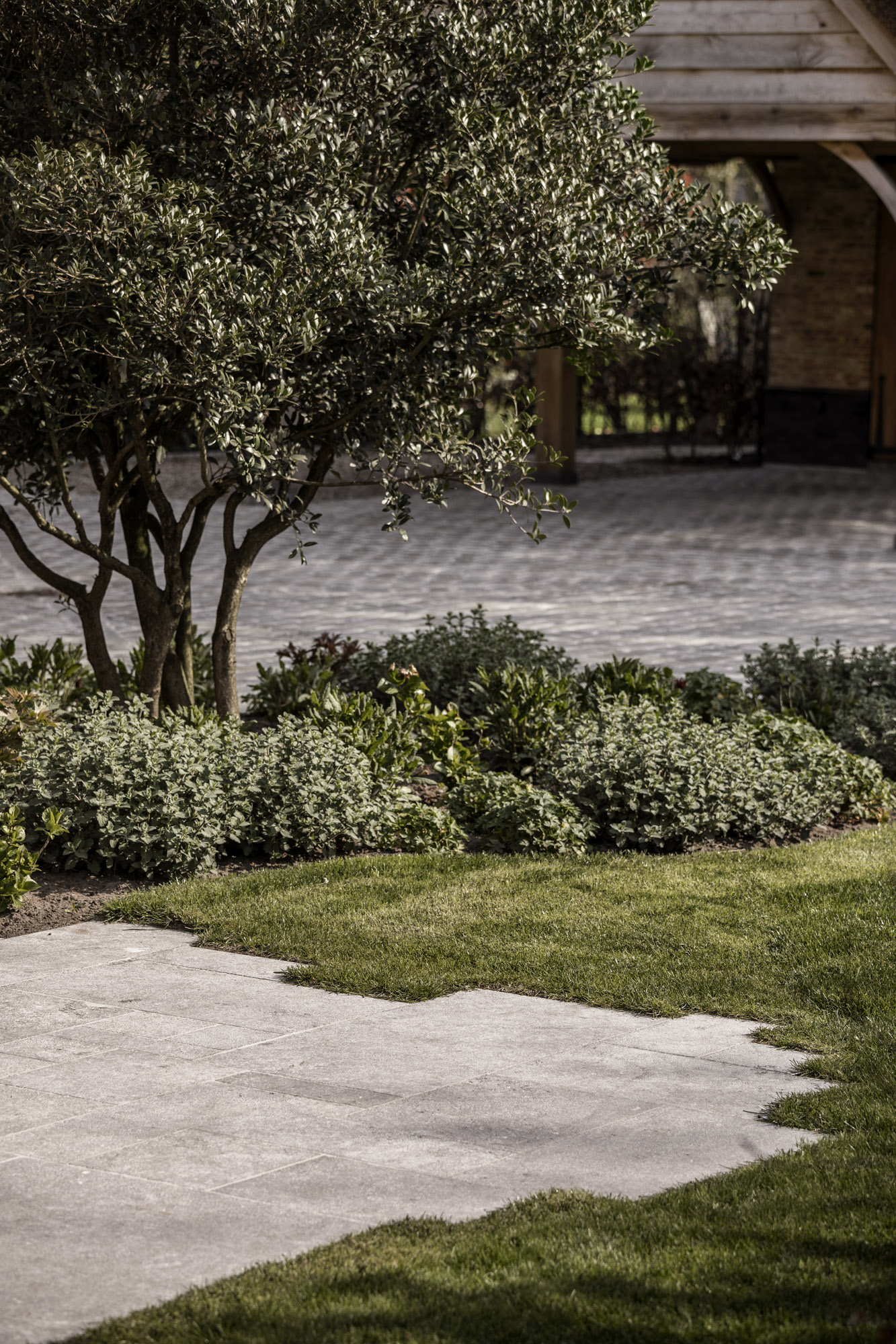 Landelijke tuin lente